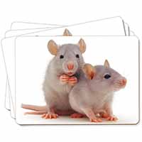 Silver Blue Rats Picture Placemats in Gift Box