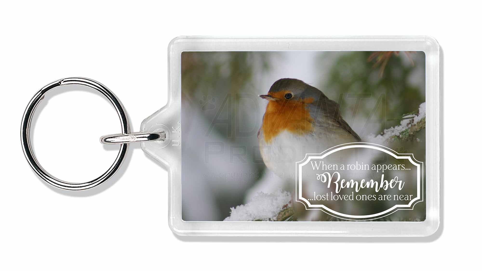 Little Robin Red Breast Photo Keyring Animal Gift Robin-1K