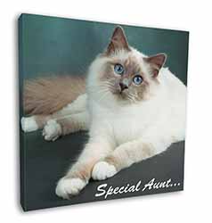 Birman Cat 