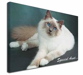 Birman Cat 