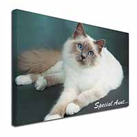 Birman Cat 