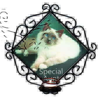 Birman Cat 