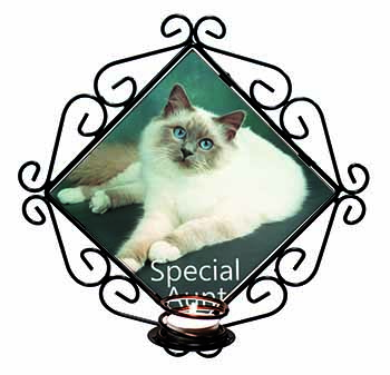 Birman Cat 