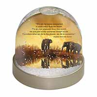 Connected to the Universe Quote Snow Globe Photo Waterball