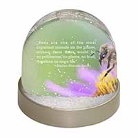 Importance of Bees Quote Snow Globe Photo Waterball