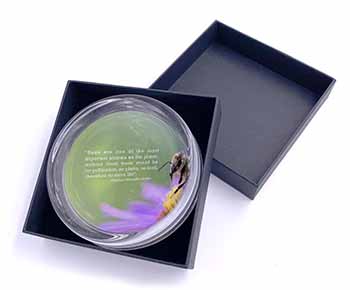 Importance of Bees Quote Glass Paperweight in Gift Box