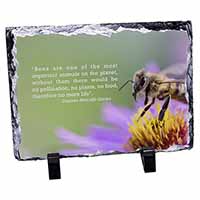 Importance of Bees Quote, Stunning Photo Slate