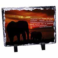 Elephants & Earth Quote, Stunning Photo Slate