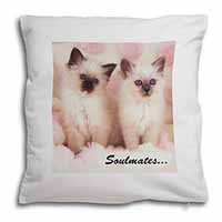 Birman Kittens 