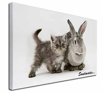 Rabbit and Kitten 