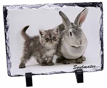 Rabbit and Kitten 