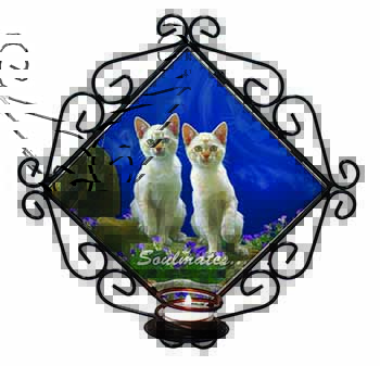 White Cats 