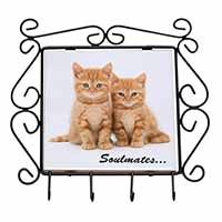 Ginger Kittens 
