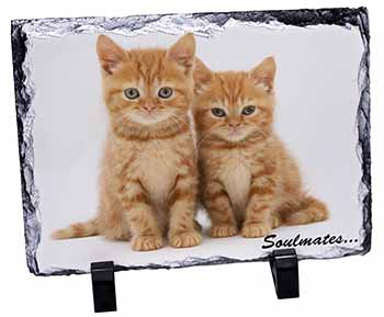 Ginger Kittens 