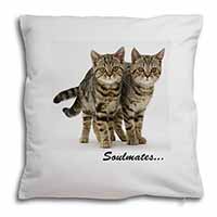 Brown Tabby Cats 