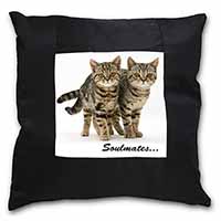 Brown Tabby Cats 