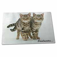 Large Glass Cutting Chopping Board Brown Tabby Cats 