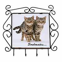 Brown Tabby Cats 