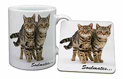 Brown Tabby Cats 