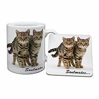 Brown Tabby Cats 