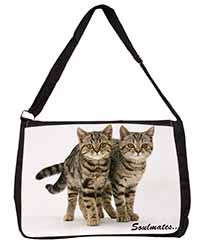 Brown Tabby Cats 