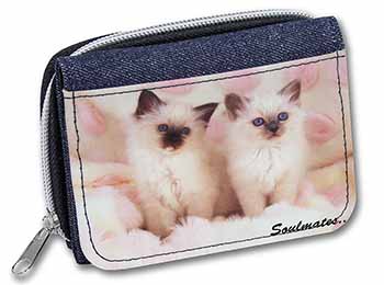 Birman Kittens 