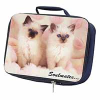 Birman Kittens 