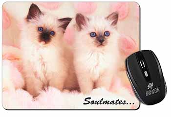 Birman Kittens 