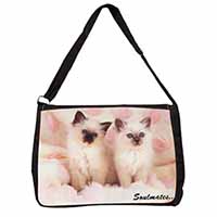 Birman Kittens 