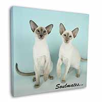 Siamese Cats 