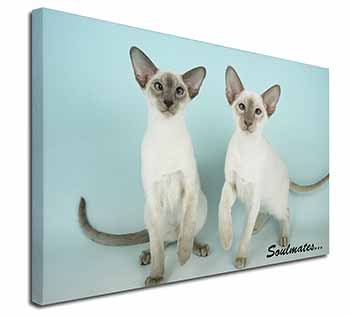 Siamese Cats 