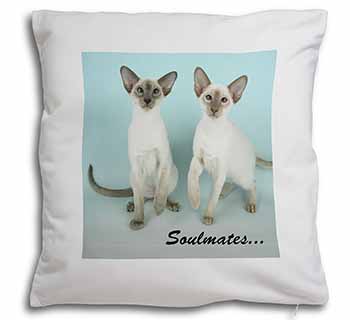 Siamese Cats 