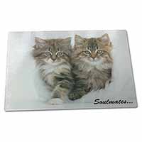 Large Glass Cutting Chopping Board Kittens Sentiment 