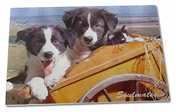 Large Glass Cutting Chopping Board Border Collie Puppies 