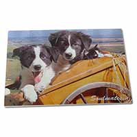 Large Glass Cutting Chopping Board Border Collie Puppies 