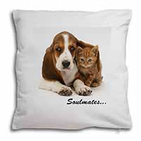 Basset Hound and Kitten 