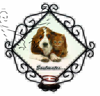 Basset Hound and Kitten 