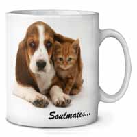 Basset Hound and Kitten 