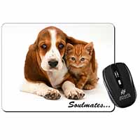 Basset Hound and Kitten 