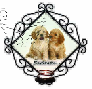 Cockerpoodle Puppy Dogs 