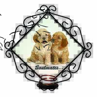 Cockerpoodle Puppy Dogs 