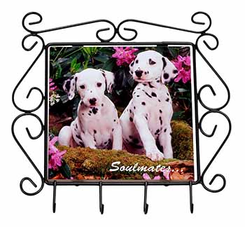 Dalmatian Puppy Dogs 