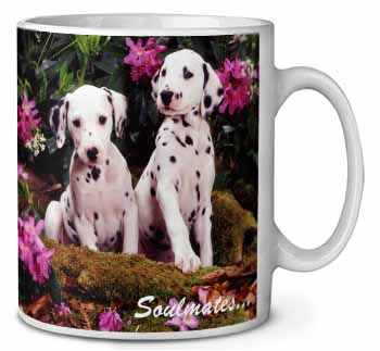 Dalmatian Puppy Dogs 