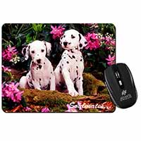 Dalmatian Puppy Dogs 