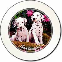 Dalmatian Puppy Dogs 