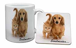 Dachshund and Kitten 