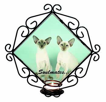 Siamese Cats 