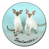 Siamese Cats 