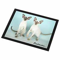 Siamese Cats 