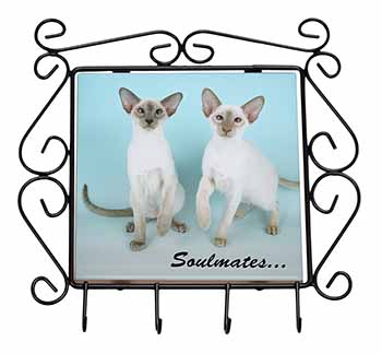 Siamese Cats 